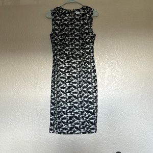 Calvin Klein dress